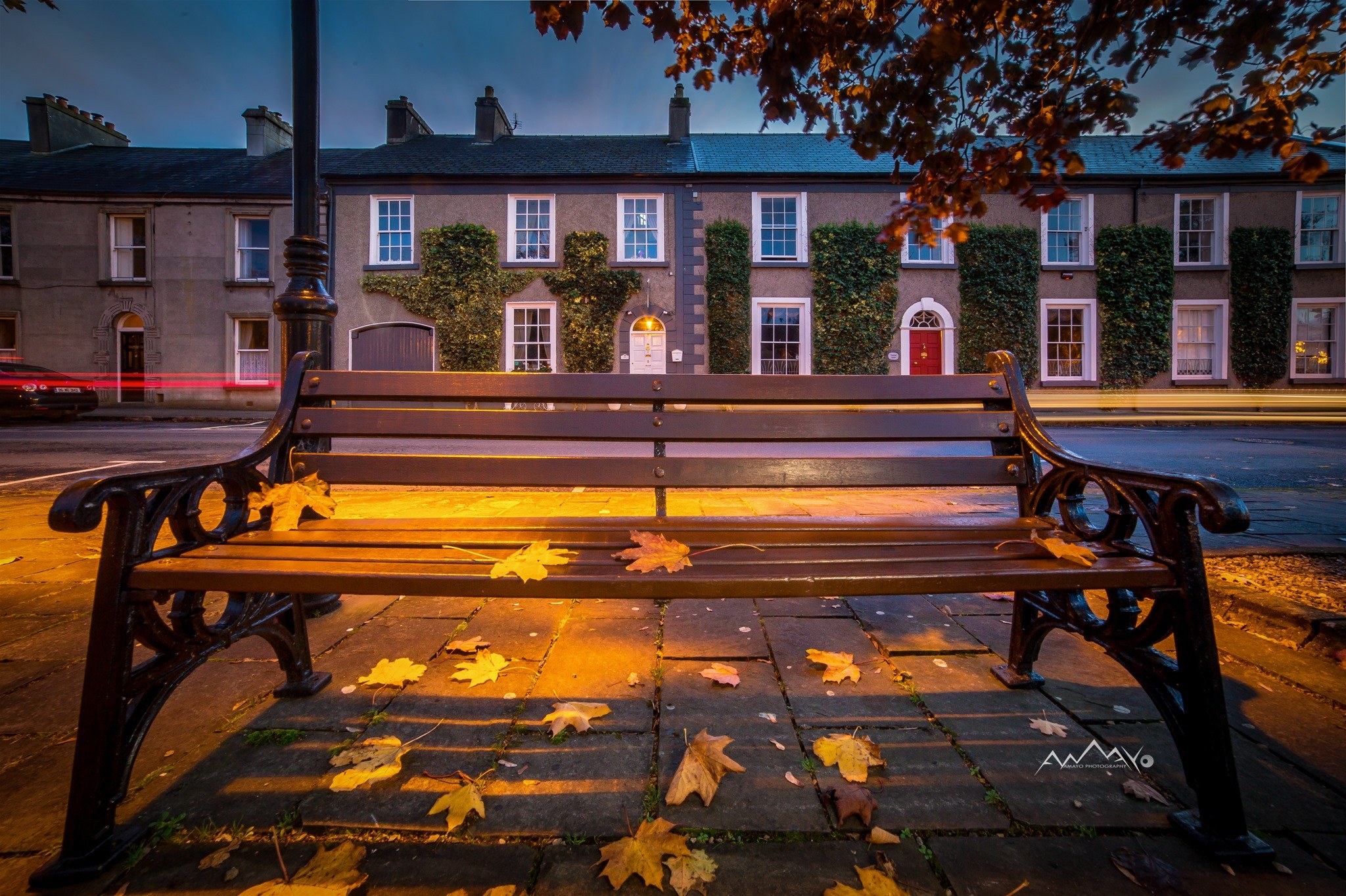 Five reasons to fall in love with Westport in autumn
