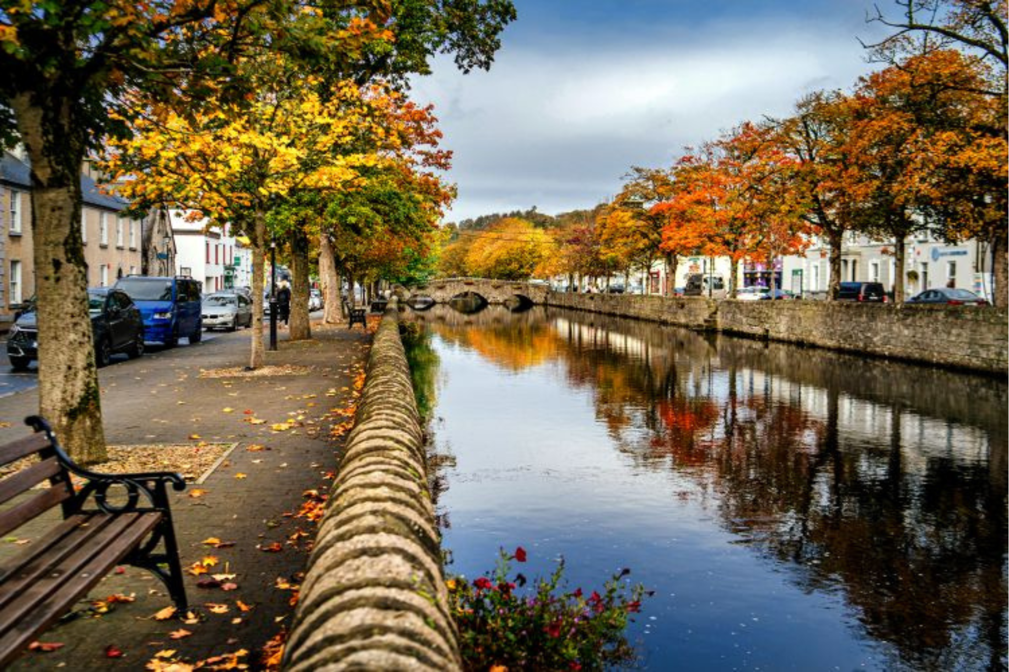 Where to See the Best Autumn Colours Around Westport