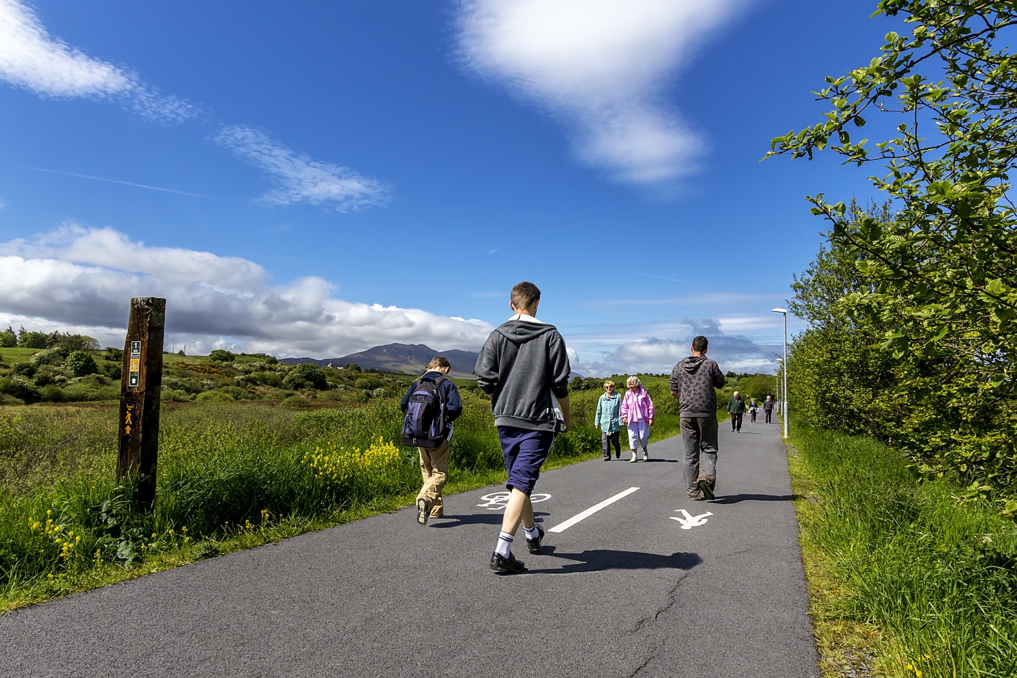 Discover Westport's Most Beautiful Spring Walking Trails