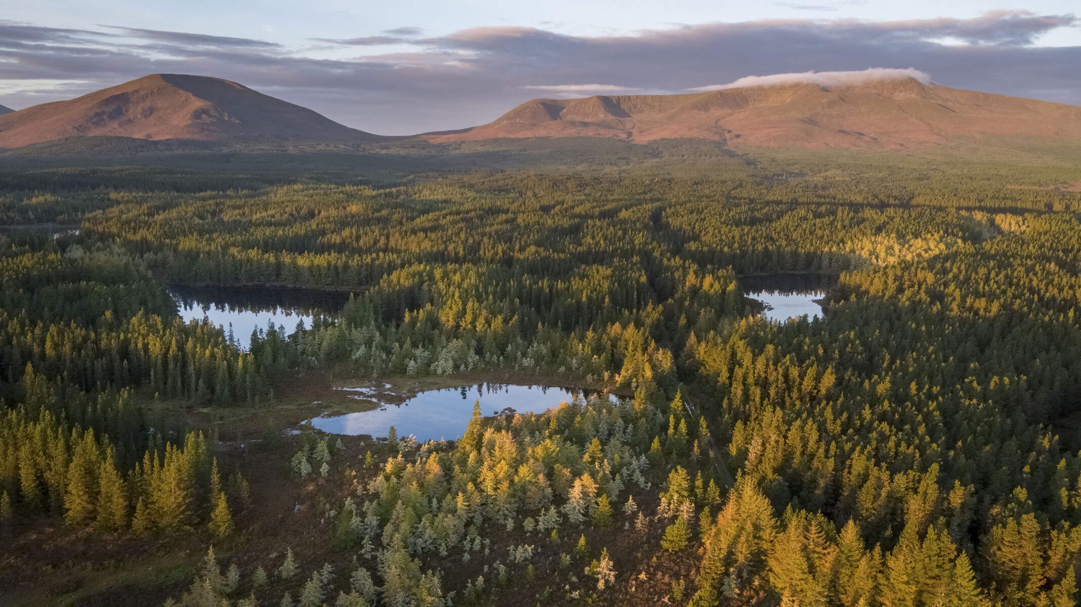 Tiernaur Loop Walks