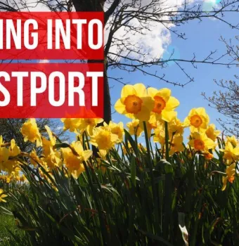 Six Signs of Spring in Westport