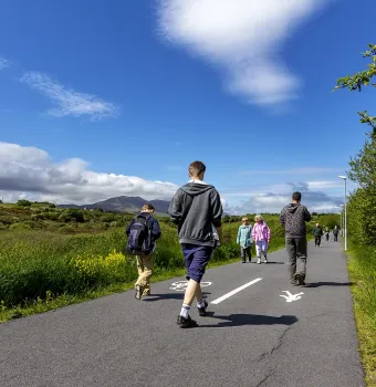 Discover Westport's Most Beautiful Spring Walking Trails
