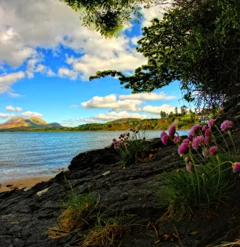 5 Best Places to Visit in Westport, County Mayo