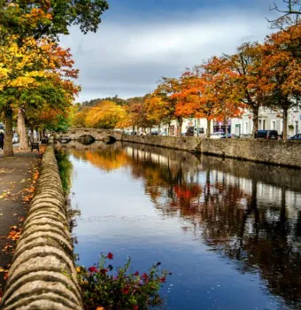 Where to See the Best Autumn Colours Around Westport