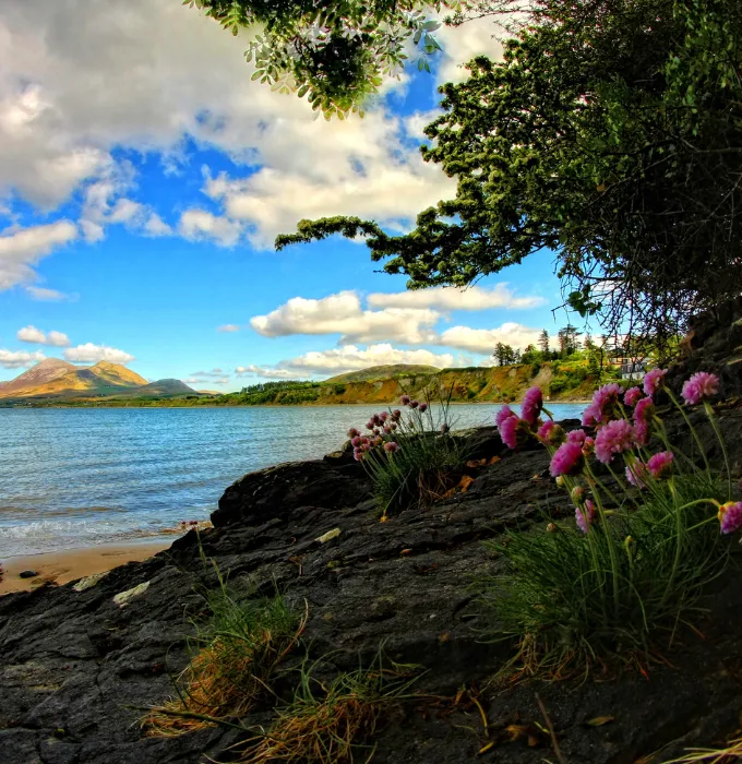 5 Best Places to Visit in Westport, County Mayo