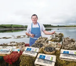 Croagh Patrick Seafood Tours  - Destination Westport