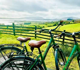  - Destination Westport