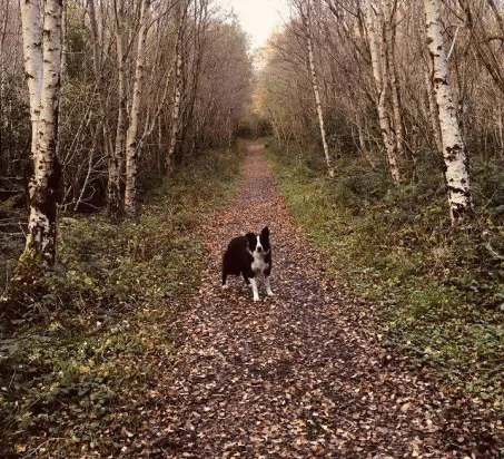  - Destination Westport