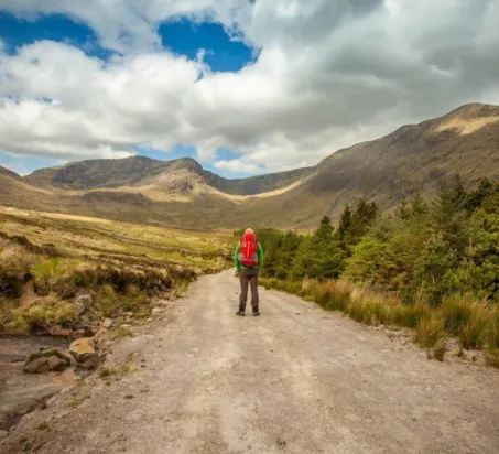  - Destination Westport