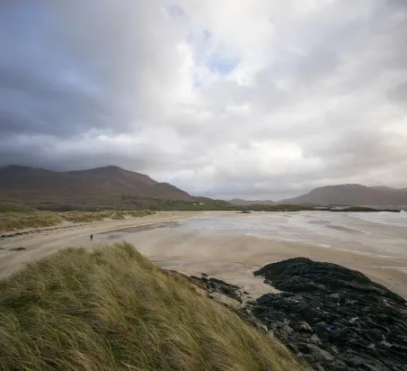  - Destination Westport