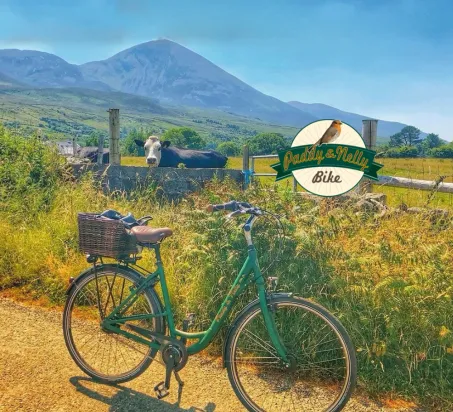  - Destination Westport