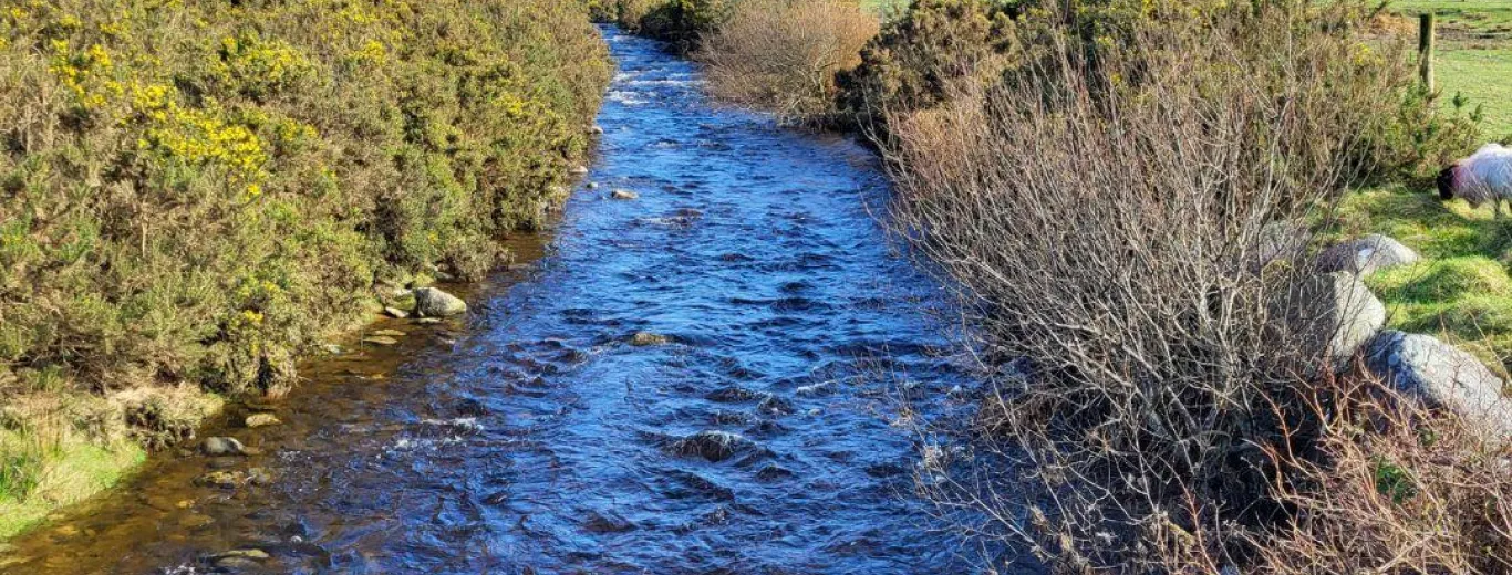  - Destination Westport