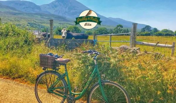 Paddy & Nelly Bike Hire Westport